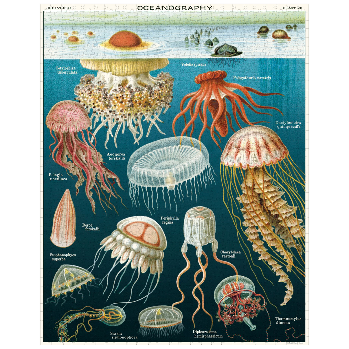 Vintage Jellyfish Puzzle