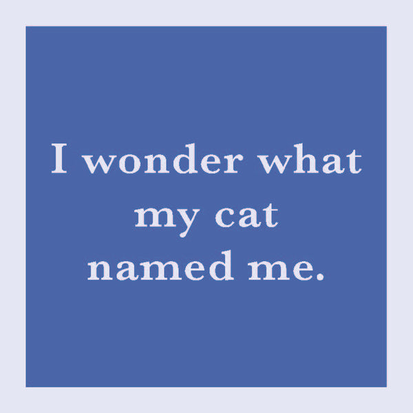 Cat Named Me