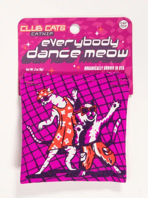 Everybody Dance Cat Nip
