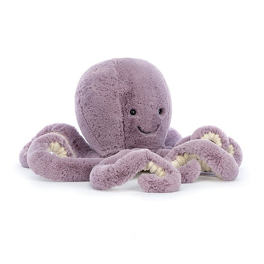 Maya Octopus, Large