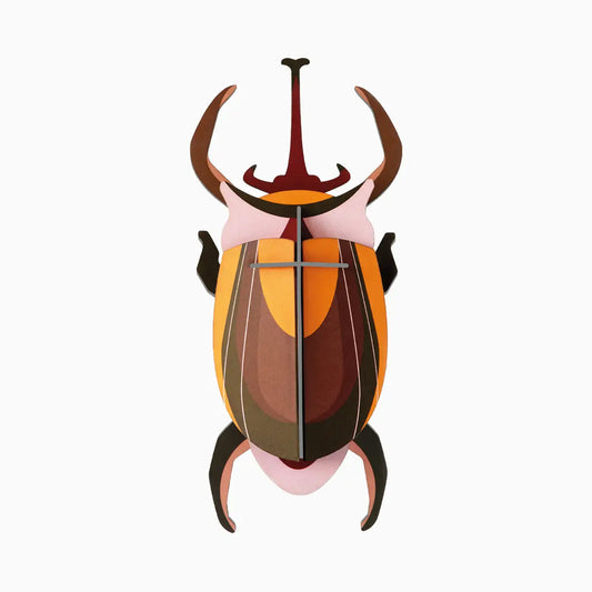 Elephant Beetle