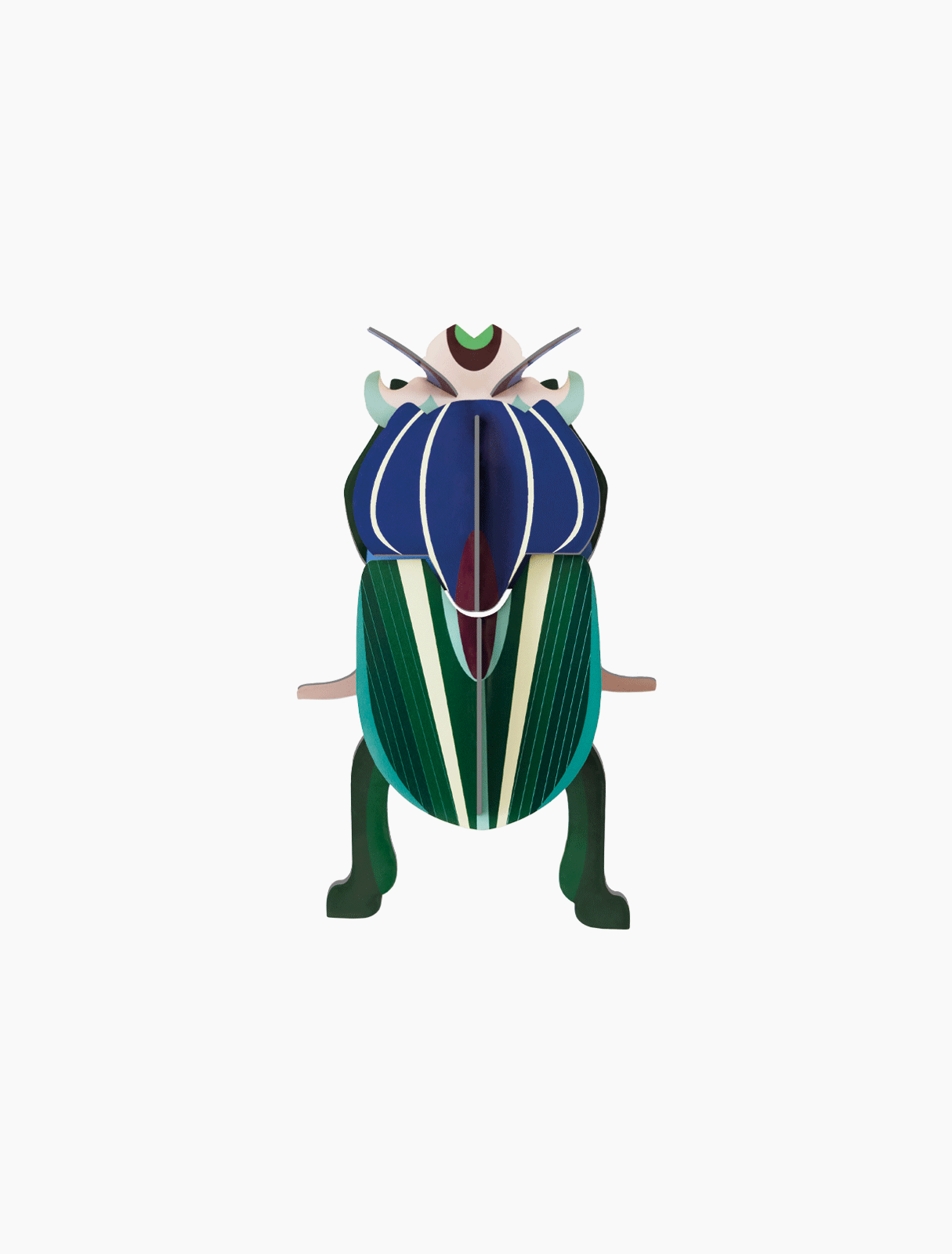 Mimela Scarab Beetle