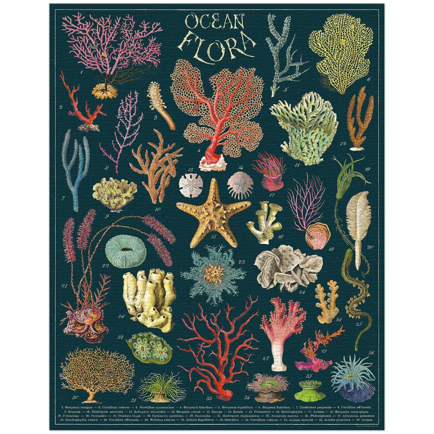 Vintage Ocean Flora Puzzle